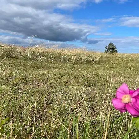 度假居 16 Person In Glesborg *